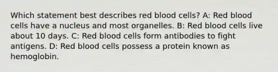 Which statement best describes red blood cells? A: Red blood cells have a nucleus and most organelles. B: Red blood cells live about 10 days. C: Red blood cells form antibodies to fight antigens. D: Red blood cells possess a protein known as hemoglobin.