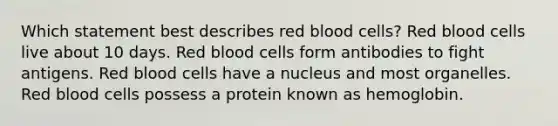 Which statement best describes red blood cells? Red blood cells live about 10 days. Red blood cells form antibodies to fight antigens. Red blood cells have a nucleus and most organelles. Red blood cells possess a protein known as hemoglobin.