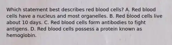 Which statement best describes red blood cells? A. Red blood cells have a nucleus and most organelles. B. Red blood cells live about 10 days. C. Red blood cells form antibodies to fight antigens. D. Red blood cells possess a protein known as hemoglobin.