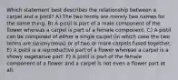 Which statement best describes the relationship between a carpel and a pistil? A) The two terms are merely two names for the same thing. B) A pistil is part of a male component of the flower whereas a carpel is part of a female component. C) A pistil can be composed of either a single carpel (in which case the two terms are synonymous) or of two or more carpels fused together. E) A pistil is a reproductive part of a flower whereas a carpel is a showy vegetative part. F) A pistil is part of the female component of a flower and a carpel is not even a flower part at all.