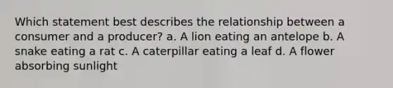 Which statement best describes the relationship between a consumer and a producer? a. A lion eating an antelope b. A snake eating a rat c. A caterpillar eating a leaf d. A flower absorbing sunlight