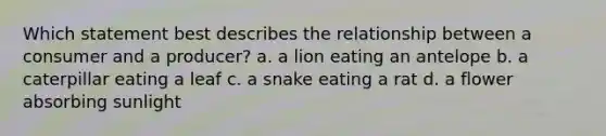 Which statement best describes the relationship between a consumer and a producer? a. a lion eating an antelope b. a caterpillar eating a leaf c. a snake eating a rat d. a flower absorbing sunlight