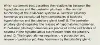 Which statement best describes the relationship between the hypothalamus and the posterior pituitary in the normal functioning of the endocrine system? A. Posterior pituitary hormones are constituted from components of both the hypothalamus and the pituitary gland itself. B. The posterior pituitary gland regulates the release of hypothalamic hormones. C. Posterior pituitary hormones are produced in the cell bodies of neurons in the hypothalamus but released from the pituitary gland. D. The hypothalamus regulates the production and release of posterior pituitary hormones by the pituitary gland.