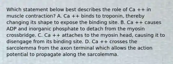 Which statement below best describes the role of Ca ++ in muscle contraction? A. Ca ++ binds to troponin, thereby changing its shape to expose the binding site. B. Ca ++ causes ADP and inorganic phosphate to detach from the myosin crossbridge. C. Ca ++ attaches to the myosin head, causing it to disengage from its binding site. D. Ca ++ crosses the sarcolemma from the axon terminal which allows the action potential to propagate along the sarcolemma.