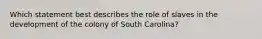 Which statement best describes the role of slaves in the development of the colony of South Carolina?