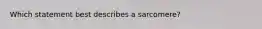 Which statement best describes a sarcomere?