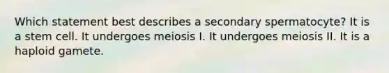 Which statement best describes a secondary spermatocyte? It is a stem cell. It undergoes meiosis I. It undergoes meiosis II. It is a haploid gamete.