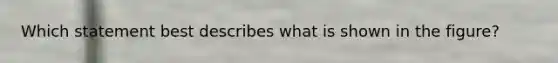Which statement best describes what is shown in the figure?