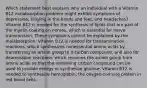 Which statement best explains why an individual with a Vitamin B12 malabsorption problem might exhibit symptoms of depression, tingling in the hands and feet, and headaches? Vitamin B12 is needed for the synthesis of lipids that are part of the myelin coating on nerves, which is essential for nerve transmission. These symptoms cannot be explained by the malabsorption. Vitamin B12 is needed for transamination reactions, which synthesizes nonessential amino acids by transferring an amino group to a carbon compound, and also for deamination reactions, which removes the amino group from amino acids so that the remaining carbon compound can be used to provide energy or synthesize glucose. Vitamin B12 is needed to synthesize hemoglobin, the oxygen-carrying protein in red blood cells.