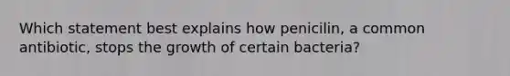 Which statement best explains how penicilin, a common antibiotic, stops the growth of certain bacteria?