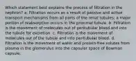 Which statement best explains the process of filtration in the nephron? a. Filtration occurs as a result of passive and active transport mechanisms from all parts of the renal tubules; a major portion of reabsorption occurs in the proximal tubule. b. Filtration is the movement of molecules out of peritubular blood and into the tubule for excretion. c. Filtration is the movement of molecules out of the tubule and into peritubular blood. d. Filtration is the movement of water and protein-free solutes from plasma in the glomerulus into the capsular space of Bowman capsule.