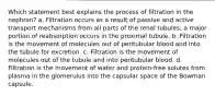 Which statement best explains the process of filtration in the nephron? a. Filtration occurs as a result of passive and active transport mechanisms from all parts of the renal tubules; a major portion of reabsorption occurs in the proximal tubule. b. Filtration is the movement of molecules out of peritubular blood and into the tubule for excretion. c. Filtration is the movement of molecules out of the tubule and into peritubular blood. d. Filtration is the movement of water and protein-free solutes from plasma in the glomerulus into the capsular space of the Bowman capsule.