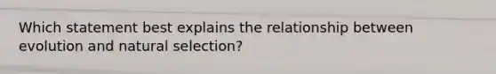 Which statement best explains the relationship between evolution and natural selection?