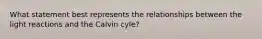 What statement best represents the relationships between the light reactions and the Calvin cyle?