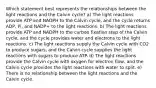 Which statement best represents the relationships between the light reactions and the Calvin cycle? a) The light reactions provide ATP and NADPH to the Calvin cycle, and the cycle returns ADP, Pi, and NADP+ to the light reactions. b) The light reactions provide ATP and NADPH to the carbon fixation step of the Calvin cycle, and the cycle provides water and electrons to the light reactions. c) The light reactions supply the Calvin cycle with CO2 to produce sugars, and the Calvin cycle supplies the light reactions with sugars to produce ATP. d) The light reactions provide the Calvin cycle with oxygen for electron flow, and the Calvin cycle provides the light reactions with water to split. e) There is no relationship between the light reactions and the Calvin cycle.