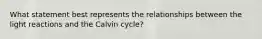 What statement best represents the relationships between the light reactions and the Calvin cycle?