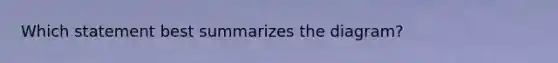 Which statement best summarizes the diagram?