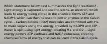 Which statement below best summarizes the light reactions? - Light energy is captured and used to excite an electron, which leads to energy being stored in the chemical forms ATP and NADPH, which can then be used to power enymes in the Calvin cycle. - Carbon dioxide (CO2) molecules are combined with H+ to make sugars using the energy provided by NADPH and ATP. - Water is split using light energy, creating H+ and O2. - Light energy powers ATP synthase and NADP reductase, creating chemical forms of energy that can be used in the Calvin cycle.