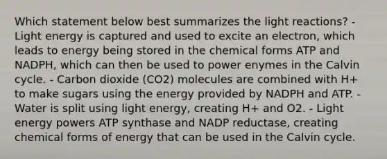 Which statement below best summarizes the light reactions? - Light energy is captured and used to excite an electron, which leads to energy being stored in the chemical forms ATP and NADPH, which can then be used to power enymes in the Calvin cycle. - Carbon dioxide (CO2) molecules are combined with H+ to make sugars using the energy provided by NADPH and ATP. - Water is split using light energy, creating H+ and O2. - Light energy powers ATP synthase and NADP reductase, creating chemical forms of energy that can be used in the Calvin cycle.