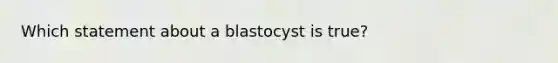 Which statement about a blastocyst is true?