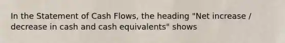 In the Statement of Cash Flows, the heading "Net increase / decrease in cash and cash equivalents" shows