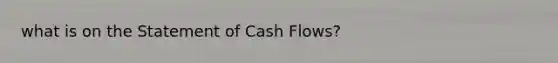 what is on the Statement of Cash Flows?