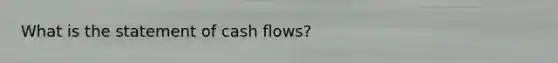 What is the statement of cash flows?