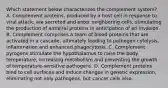 Which statement below characterizes the complement system? A. Complement proteins, produced by a host cell in response to viral attack, are secreted and enter neighboring cells, stimulating the production of antiviral proteins in anticipation of an invasion. B. Complement comprises a team of blood proteins that are activated in a cascade, ultimately leading to pathogen cytolysis, inflammation and enhanced phagocytosis. C. Complement pyrogens stimulate the hypothalamus to raise the body temperature, increasing metabolism and preventing the growth of temperature-sensitive pathogens. D. Complement proteins bind to cell surfaces and induce changes in genetic expression, eliminating not only pathogens, but cancer cells also.