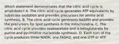 Which statement demonstrates that the citric acid cycle is amphibolic? A. The citric acid cycle generates ATP equivalents by substrate oxidation and provides precursors for amino acid synthesis. B. The citric acid cycle generates NADPH and provides the precursors for lipid synthesis in the mitochondria. C. The citric acid cycle provides oxaloacetate and α‑ketoglutarate for purine and pyrimidine nucleotide synthesis. D. Each turn of the cycle produces three NADH, one FADH2, and one GTP or ATP.