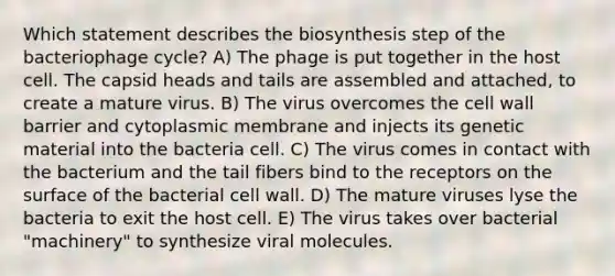 Which statement describes the biosynthesis step of the bacteriophage cycle? A) The phage is put together in the host cell. The capsid heads and tails are assembled and attached, to create a mature virus. B) The virus overcomes the cell wall barrier and cytoplasmic membrane and injects its genetic material into the bacteria cell. C) The virus comes in contact with the bacterium and the tail fibers bind to the receptors on the surface of the bacterial cell wall. D) The mature viruses lyse the bacteria to exit the host cell. E) The virus takes over bacterial "machinery" to synthesize viral molecules.