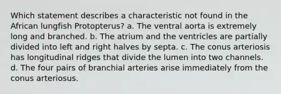 Which statement describes a characteristic not found in the African lungfish Protopterus? a. The ventral aorta is extremely long and branched. b. The atrium and the ventricles are partially divided into left and right halves by septa. c. The conus arteriosis has longitudinal ridges that divide the lumen into two channels. d. The four pairs of branchial arteries arise immediately from the conus arteriosus.