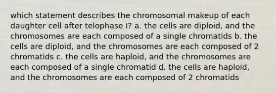 which statement describes the chromosomal makeup of each daughter cell after telophase I? a. the cells are diploid, and the chromosomes are each composed of a single chromatids b. the cells are diploid, and the chromosomes are each composed of 2 chromatids c. the cells are haploid, and the chromosomes are each composed of a single chromatid d. the cells are haploid, and the chromosomes are each composed of 2 chromatids