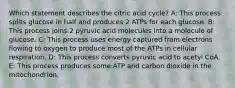 Which statement describes the citric acid cycle? A: This process splits glucose in half and produces 2 ATPs for each glucose. B: This process joins 2 pyruvic acid molecules into a molecule of glucose. C: This process uses energy captured from electrons flowing to oxygen to produce most of the ATPs in cellular respiration. D: This process converts pyruvic acid to acetyl CoA. E: This process produces some ATP and carbon dioxide in the mitochondrion.