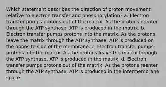 Which statement describes the direction of proton movement relative to electron transfer and phosphorylation? a. Electron transfer pumps protons out of the matrix. As the protons reenter through the ATP synthase, ATP is produced in the matrix. b. Electron transfer pumps protons into the matrix. As the protons leave the matrix through the ATP synthase, ATP is produced on the opposite side of the membrane. c. Electron transfer pumps protons into the matrix. As the protons leave the matrix through the ATP synthase, ATP is produced in the matrix. d. Electron transfer pumps protons out of the matrix. As the protons reenter through the ATP synthase, ATP is produced in the intermembrane space