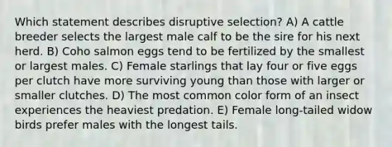 Which statement describes disruptive selection? A) A cattle breeder selects the largest male calf to be the sire for his next herd. B) Coho salmon eggs tend to be fertilized by the smallest or largest males. C) Female starlings that lay four or five eggs per clutch have more surviving young than those with larger or smaller clutches. D) The most common color form of an insect experiences the heaviest predation. E) Female long-tailed widow birds prefer males with the longest tails.