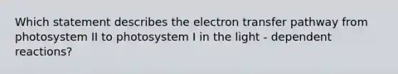 Which statement describes the electron transfer pathway from photosystem II to photosystem I in the light - dependent reactions?