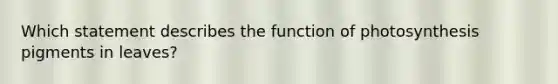 Which statement describes the function of photosynthesis pigments in leaves?