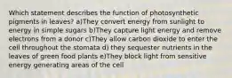 Which statement describes the function of photosynthetic pigments in leaves? a)They convert energy from sunlight to energy in simple sugars b)They capture light energy and remove electrons from a donor c)They allow carbon dioxide to enter the cell throughout the stomata d) they sequester nutrients in the leaves of green food plants e)They block light from sensitive energy generating areas of the cell