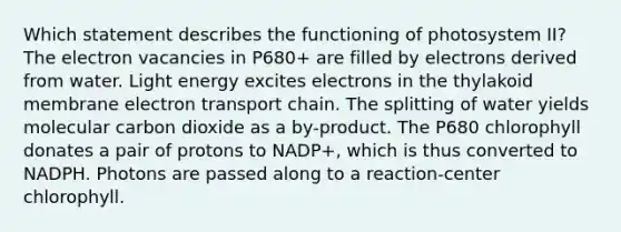 Which statement describes the functioning of photosystem II? The electron vacancies in P680+ are filled by electrons derived from water. Light energy excites electrons in the thylakoid membrane electron transport chain. The splitting of water yields molecular carbon dioxide as a by-product. The P680 chlorophyll donates a pair of protons to NADP+, which is thus converted to NADPH. Photons are passed along to a reaction-center chlorophyll.