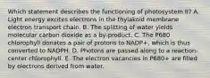 Which statement describes the functioning of photosystem II? A. Light energy excites electrons in the thylakoid membrane electron transport chain. B. The splitting of water yields molecular carbon dioxide as a by-product. C. The P680 chlorophyll donates a pair of protons to NADP+, which is thus converted to NADPH. D. Photons are passed along to a reaction-center chlorophyll. E. The electron vacancies in P680+ are filled by electrons derived from water.