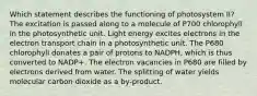 Which statement describes the functioning of photosystem II? The excitation is passed along to a molecule of P700 chlorophyll in the photosynthetic unit. Light energy excites electrons in the electron transport chain in a photosynthetic unit. The P680 chlorophyll donates a pair of protons to NADPH, which is thus converted to NADP+. The electron vacancies in P680 are filled by electrons derived from water. The splitting of water yields molecular carbon dioxide as a by-product.