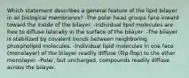 Which statement describes a general feature of the lipid bilayer in all biological membranes? -The polar head groups face inward toward the inside of the bilayer. -Individual lipid molecules are free to diffuse laterally in the surface of the bilayer .-The bilayer is stabilized by covalent bonds between neighboring phospholipid molecules. -Individual lipid molecules in one face (monolayer) of the bilayer readily diffuse (flip-flop) to the other monolayer. -Polar, but uncharged, compounds readily diffuse across the bilayer.