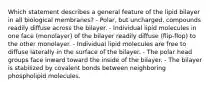 Which statement describes a general feature of the lipid bilayer in all biological membranes? - Polar, but uncharged, compounds readily diffuse across the bilayer. - Individual lipid molecules in one face (monolayer) of the bilayer readily diffuse (flip-flop) to the other monolayer. - Individual lipid molecules are free to diffuse laterally in the surface of the bilayer. - The polar head groups face inward toward the inside of the bilayer. - The bilayer is stabilized by covalent bonds between neighboring phospholipid molecules.