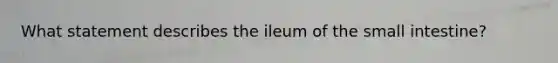 What statement describes the ileum of the small intestine?