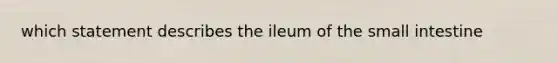 which statement describes the ileum of the small intestine