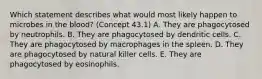 Which statement describes what would most likely happen to microbes in the blood? (Concept 43.1) A. They are phagocytosed by neutrophils. B. They are phagocytosed by dendritic cells. C. They are phagocytosed by macrophages in the spleen. D. They are phagocytosed by natural killer cells. E. They are phagocytosed by eosinophils.