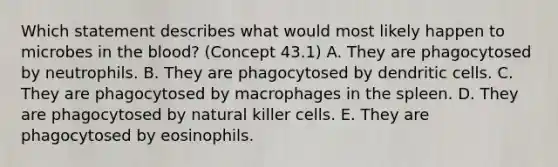 Which statement describes what would most likely happen to microbes in the blood? (Concept 43.1) A. They are phagocytosed by neutrophils. B. They are phagocytosed by dendritic cells. C. They are phagocytosed by macrophages in the spleen. D. They are phagocytosed by natural killer cells. E. They are phagocytosed by eosinophils.