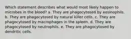 Which statement describes what would most likely happen to microbes in the blood? a. They are phagocytosed by eosinophils. b. They are phagocytosed by natural killer cells. c. They are phagocytosed by macrophages in the spleen. d. They are phagocytosed by neutrophils. e. They are phagocytosed by dendritic cells.