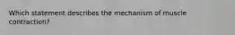 Which statement describes the mechanism of muscle contraction?