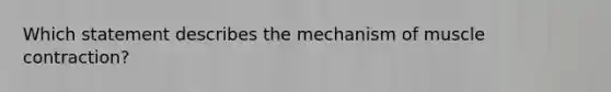 Which statement describes the mechanism of muscle contraction?